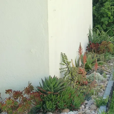 Apartamento Quinta Da Harmonia Azeitão