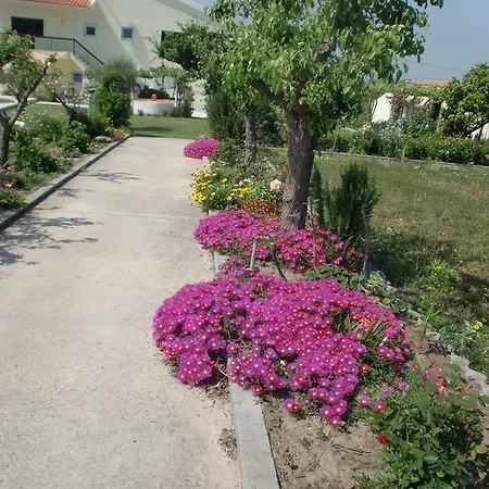 Quinta Da Harmonia Apartamento Azeitão