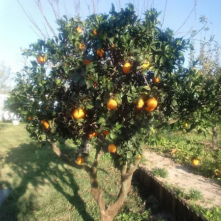 Quinta Da Harmonia Apartamento *