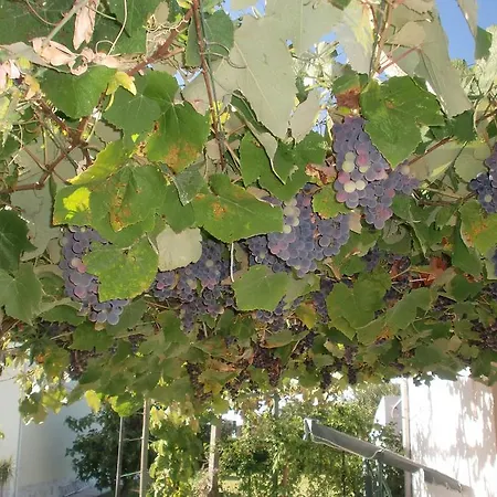 Apartamento Quinta Da Harmonia Azeitão