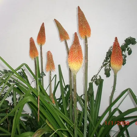 Quinta Da Harmonia *