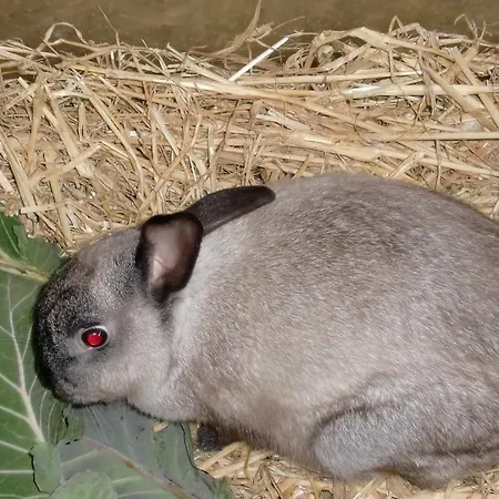 Quinta Da Harmonia Apartamento Azeitão