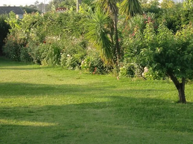 Quinta Da Harmonia 阿泽陶