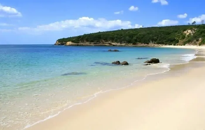 Quinta Da Harmonia 公寓 *