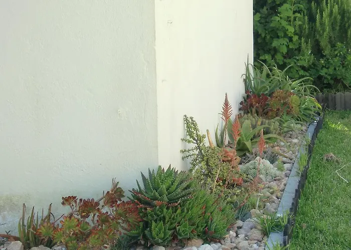 公寓 Quinta Da Harmonia 阿泽陶