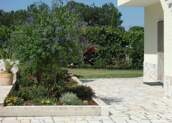 Quinta Da Harmonia * 阿泽陶