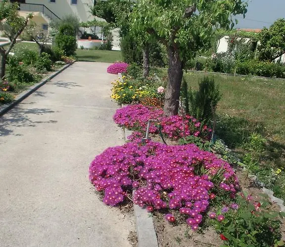 Quinta Da Harmonia 公寓 阿泽陶