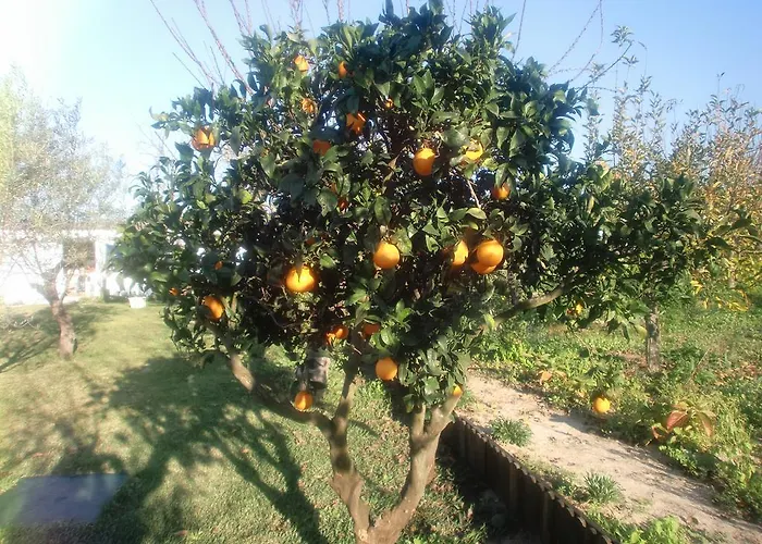 Quinta Da Harmonia 公寓 *