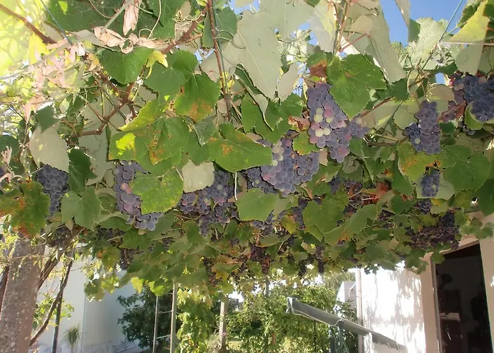 公寓 Quinta Da Harmonia 阿泽陶