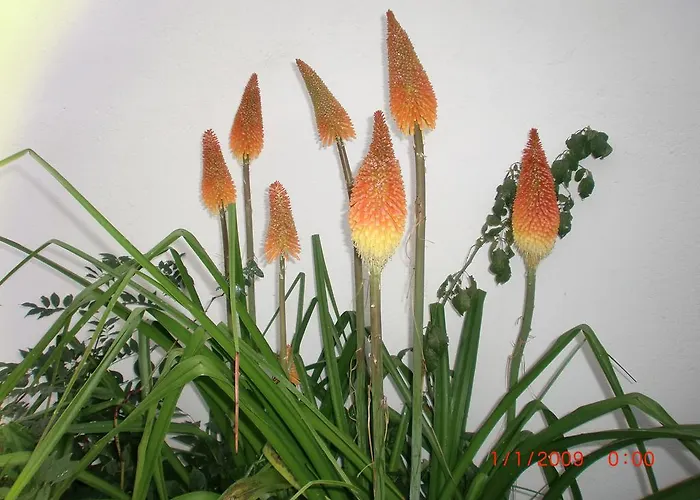 Quinta Da Harmonia *