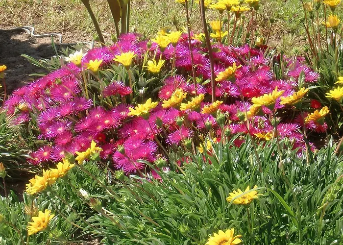 Quinta Da Harmonia *