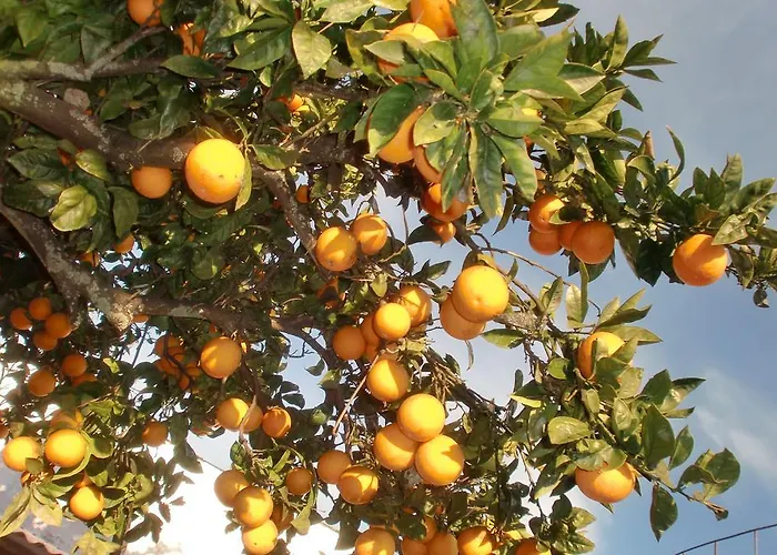 Quinta Da Harmonia 公寓 阿泽陶