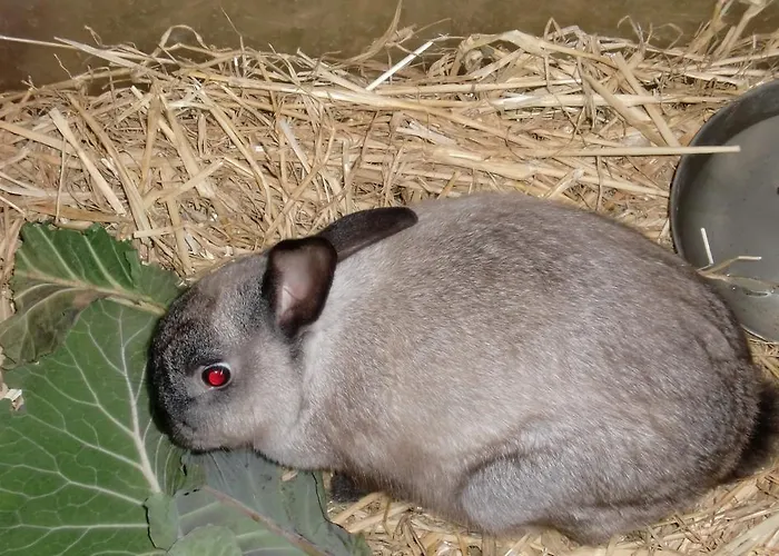 Quinta Da Harmonia 公寓 阿泽陶